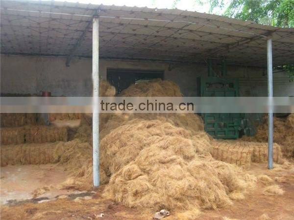Popular in Southeast Asia Oil palm fibre dryer/coco pith drying machine supplier