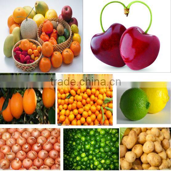 Tomato Grading Machine/washing and waxing machine