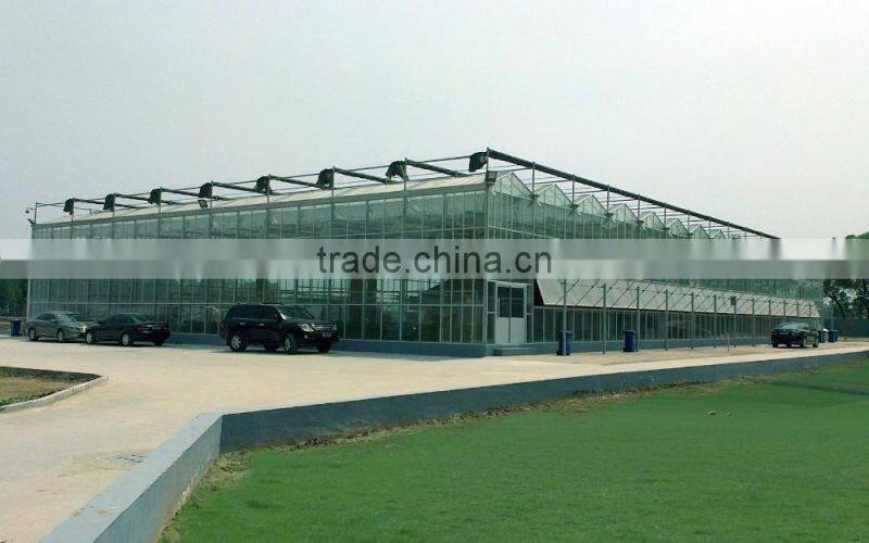 Modern external blinds seedling in greenhouse