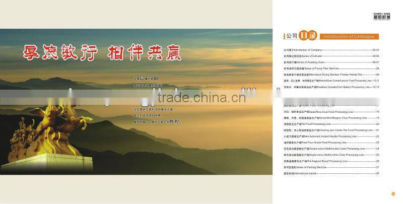 high quality stainless steel pet food processing line/small snack food machine