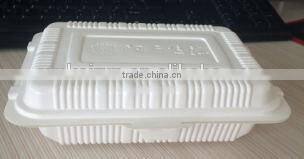 Adult collapsible pp lunch box