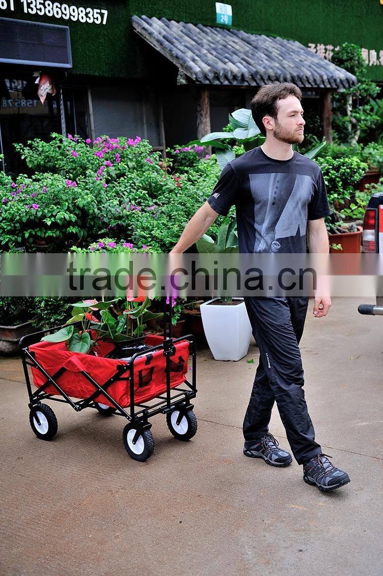 Picnic/Shopping Cart