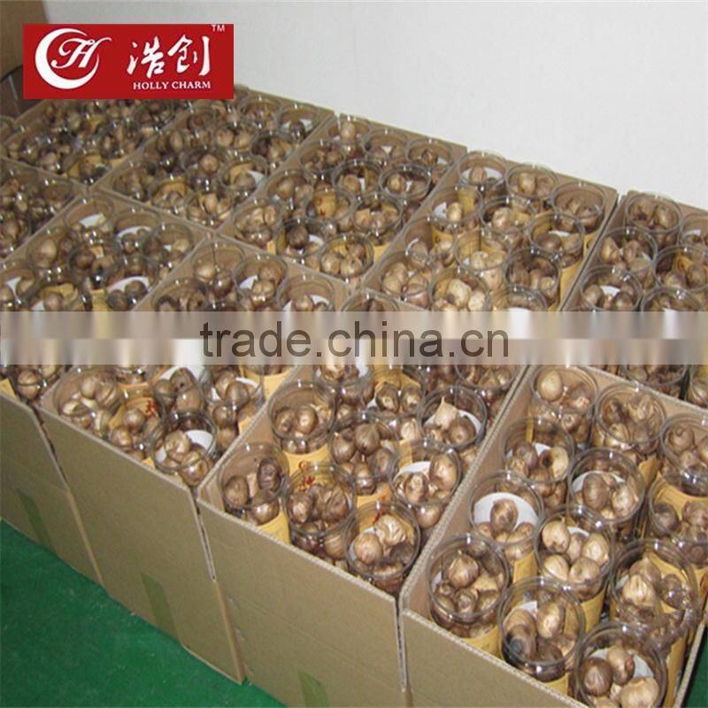 manufacturer supply solo black garlic