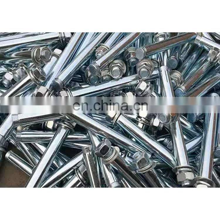 Carbon steel and SS.G304/316 Wedge Anchor stainless steel expansion anchor bolt