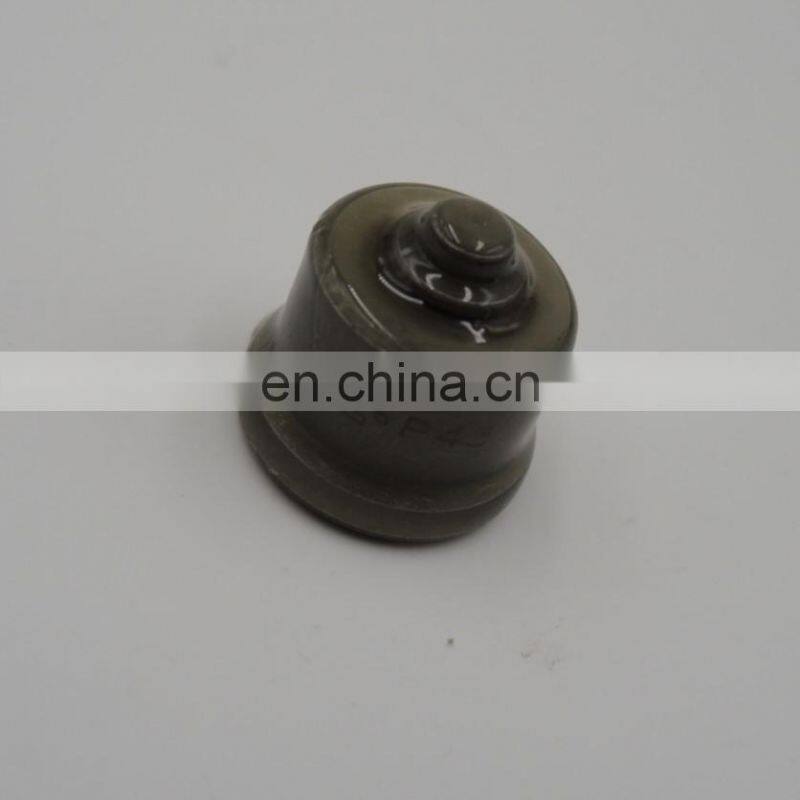 Diesel Fuel Pump Delivery Valve, Same Pressure Delivery Valve P43 valve 134110-4420