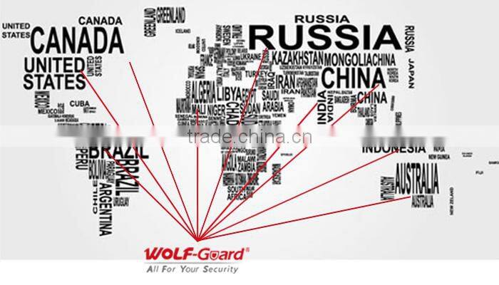 Wireless auto-dial alarm system with GSM and PSTN dual network