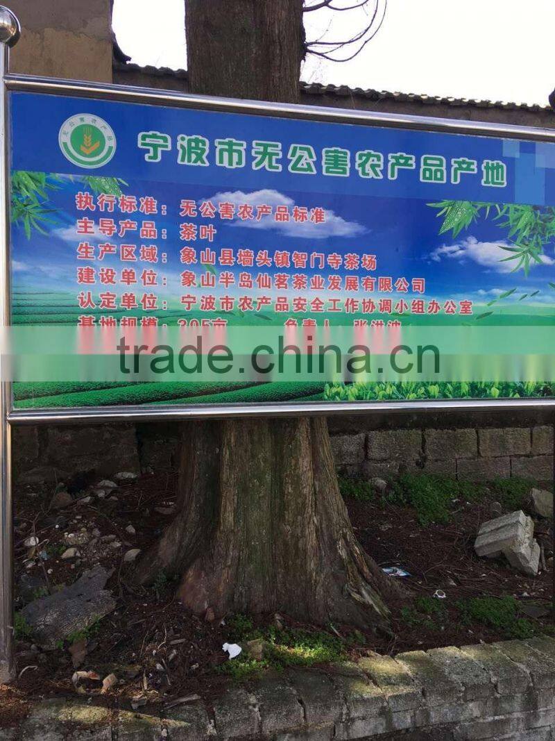 newest spring healthy factory best green tea