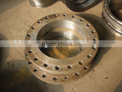 OEM stainless steel forged flange made in China