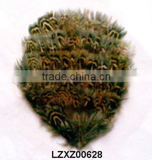 ringneck church window pad LZXZ00584