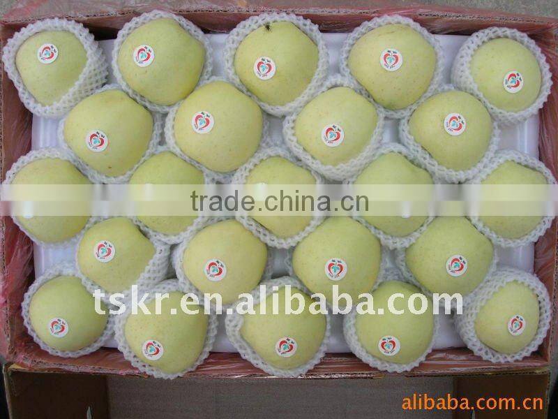 Good yellow golden delicious apples