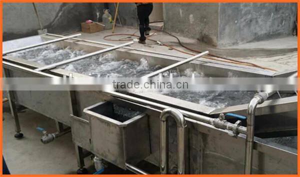 Aquatic products vegetable cleaning machine for sale