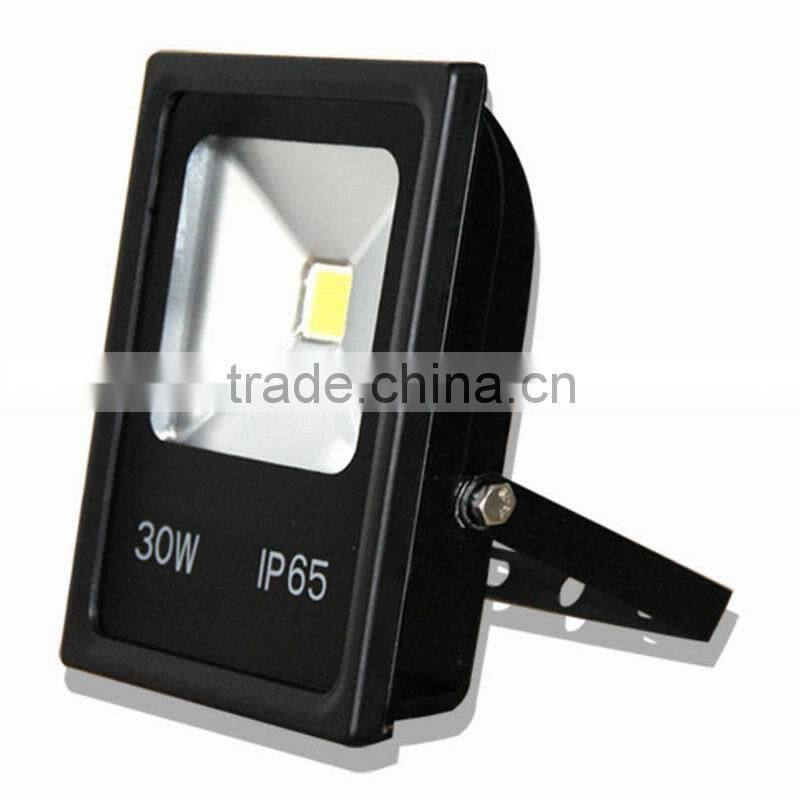 30w AC white led flood lamps IP65 Denmark
