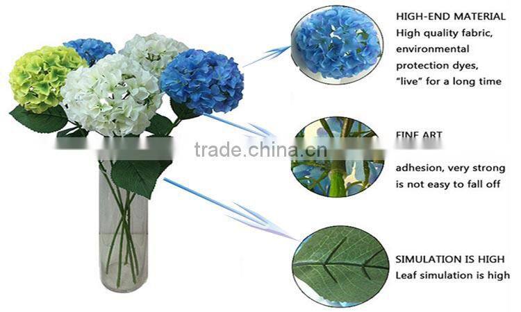 White House plants Hydrangea for wedding