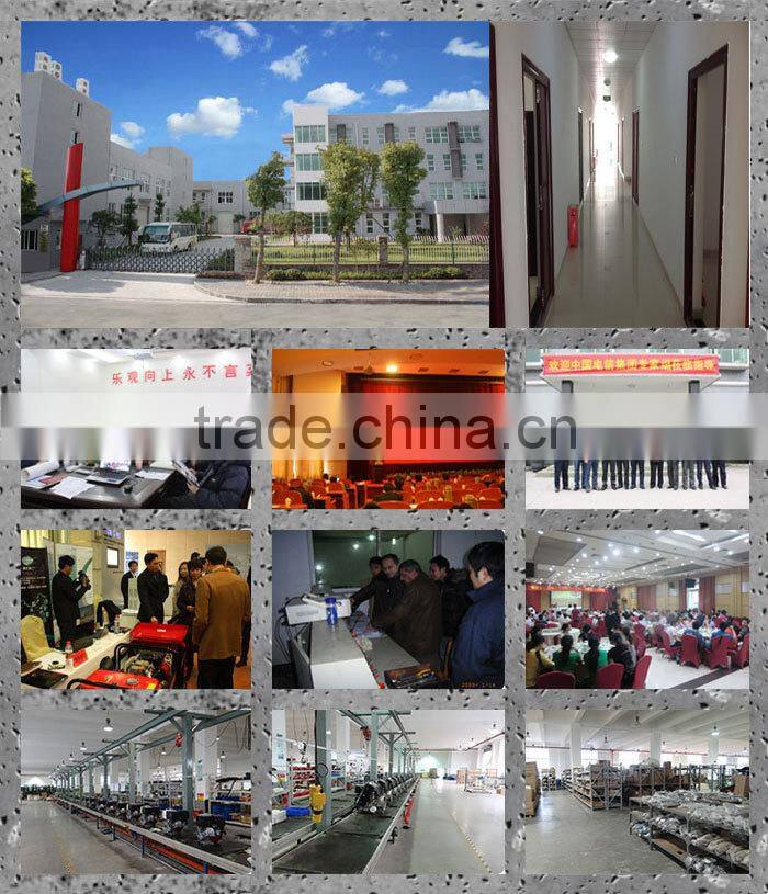 brushless rare earth neodymium permanent magnet generator Chinese