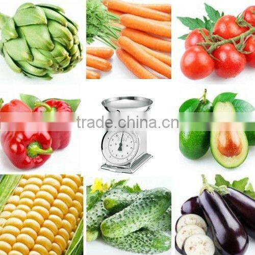 2013 High Quality Mechanical Kitchen Scale Household Scales For Weighing Scales for fruit/food/vegetable