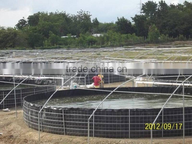 plastic water tanks fish farm for tilapia and catfish