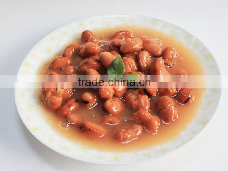 canned fava beans in brine 397g