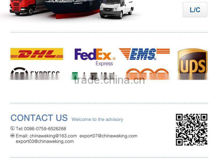 WK-6017 water electric kettle