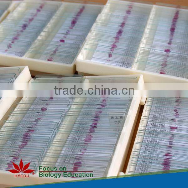 Individual slides you can choose from Survey Medical Human Pathology Histology Tissue Microscope Prepared Slides