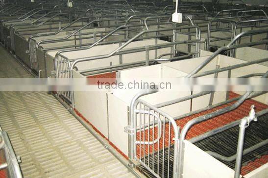 automatic piggery farming equipment