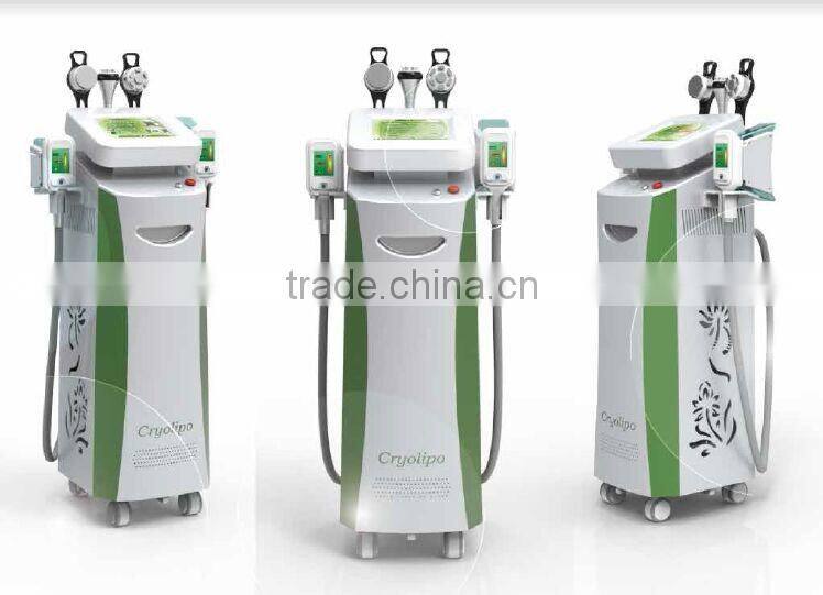 Hot promotion!!!!! 2016 Newest Beauty Equipment Cryolipolysi Fat Reducing Machine