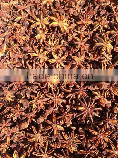 SUPPLY CLOVES SPICES (Call: +84 1687264621)