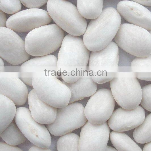 New Kidney Bean (factory)