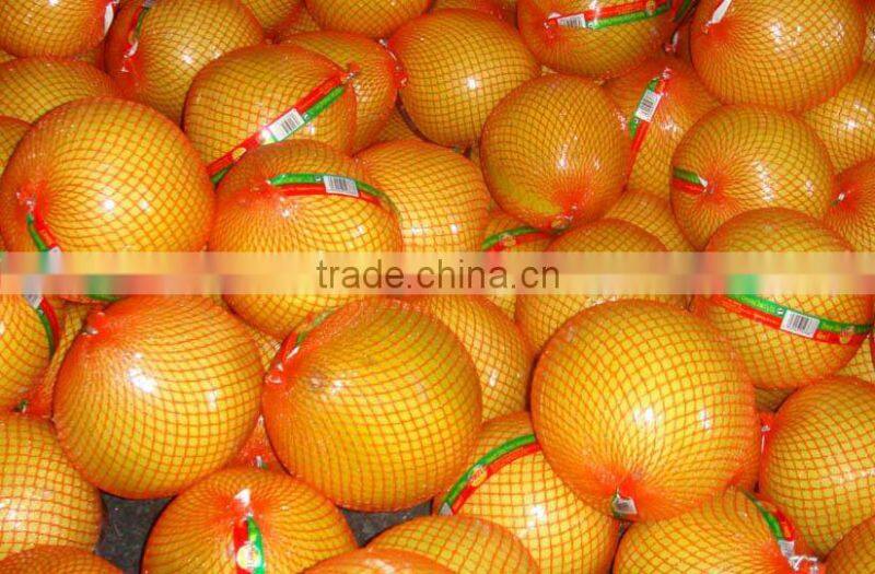 new fresh pomelo 2012