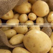 Sell Chinese Fresh Potato to Southeast Asia