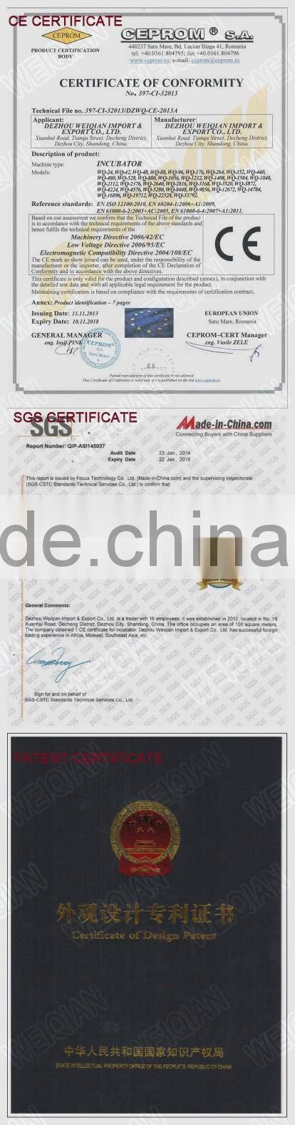 High Hatching Rate egg hatchery Machine Price setter and hatcher combined WQ-1232