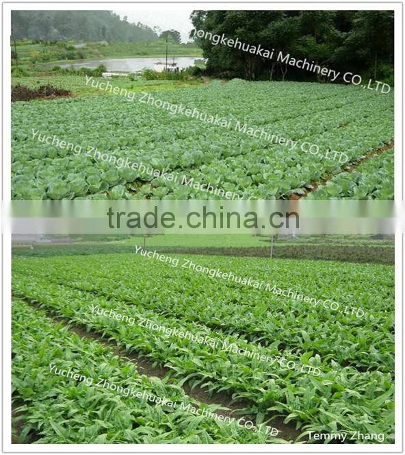 Hand push vegetable seeder