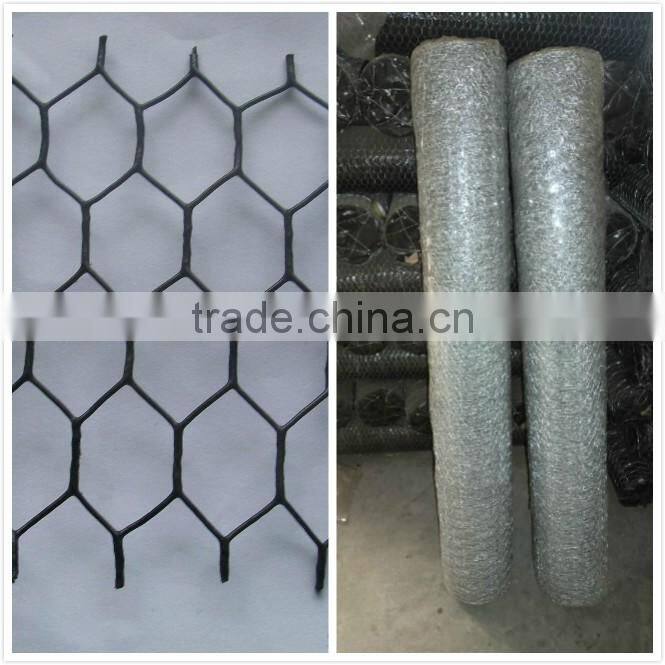 small type hexagonal wire mesh/weave wire mesh/chicken wire mesh