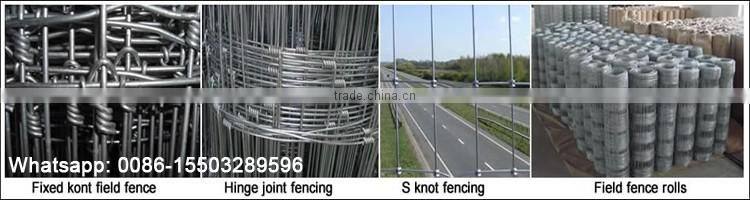 New Type Fixed Knot Grassland Field Fence Weaving Machine for Cattle Fence