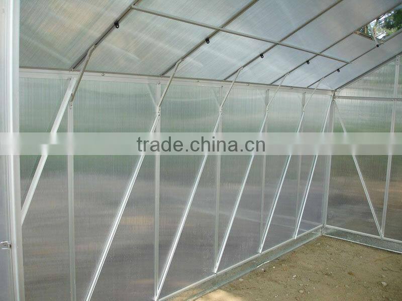 High cost performance hobby aluminium 6mm polycarbonate garden prefabricated greenhouses HX66 series