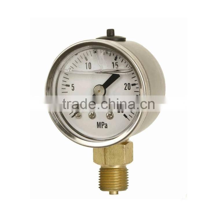 silicone oil filled pressure gauges