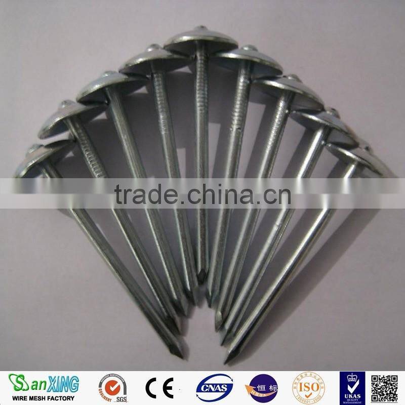 Antirust/Strong/electro galvanized umbrella head roofing nails with twist shank