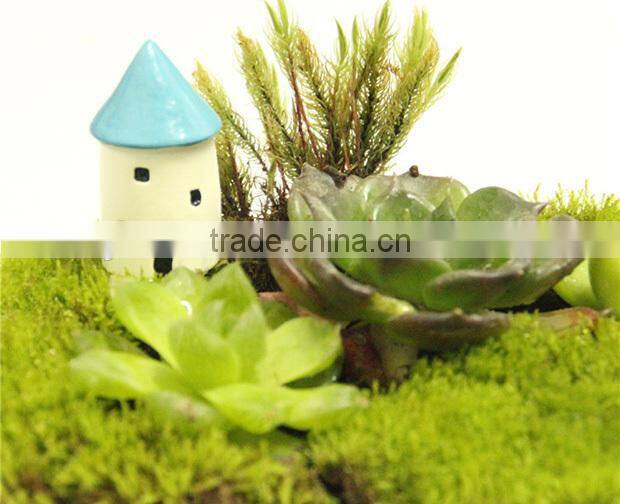 DIY accessories natural moss decorative green moss for micro landscape