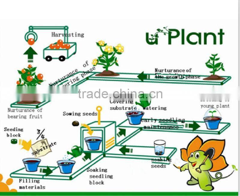 automatical water supplying indoor plants growing kits green globe