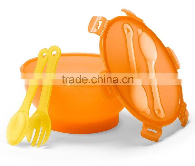 Food grade plastic bowl with cool pack