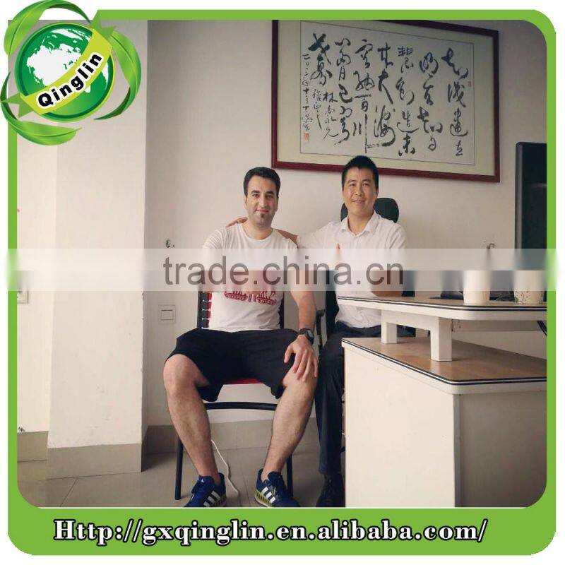 Broom dustpan function