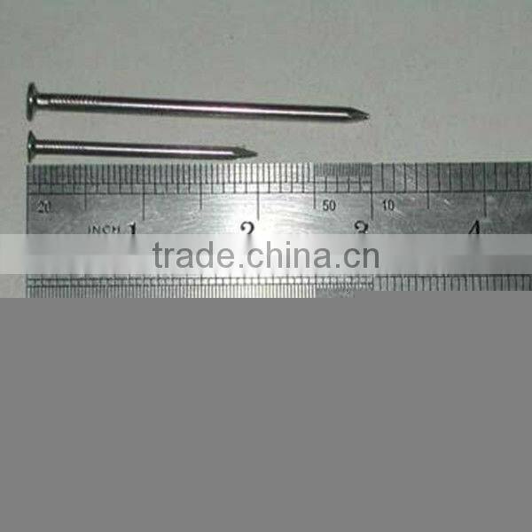 Wire Nail,Common Nail And Wood Nail Factory in China