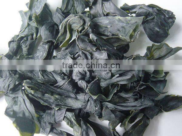 Machine Dried Kelp Seaweed, Brown Seaweed, Buy Seaweed