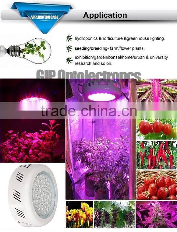 factory price of led grow light for global wholesales and agents