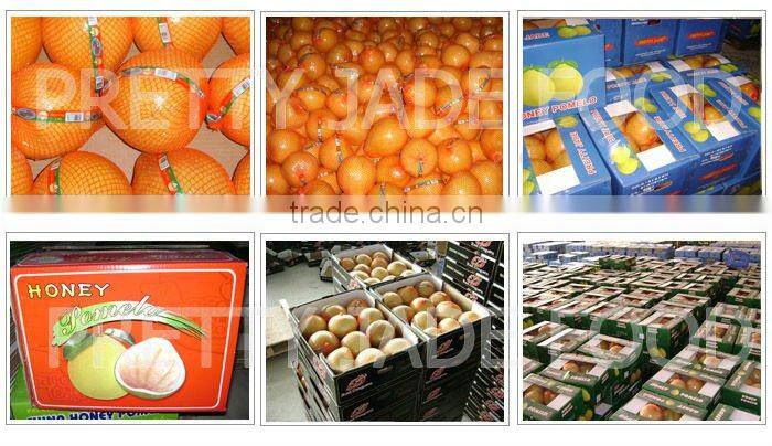 Chinese Fresh honey pomelo supplier