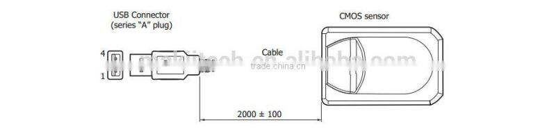 USB Digital Dental X-ray Sensor