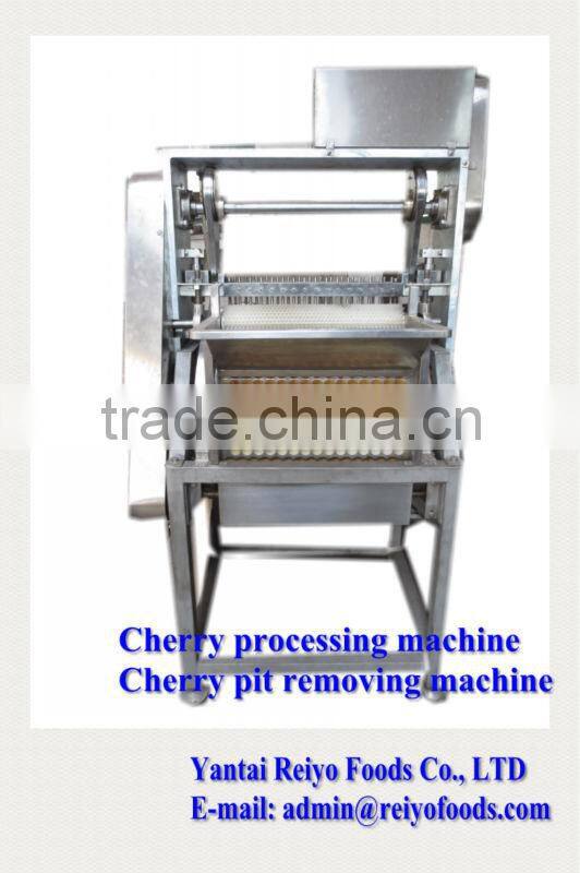 seed removing machine / cherry seed