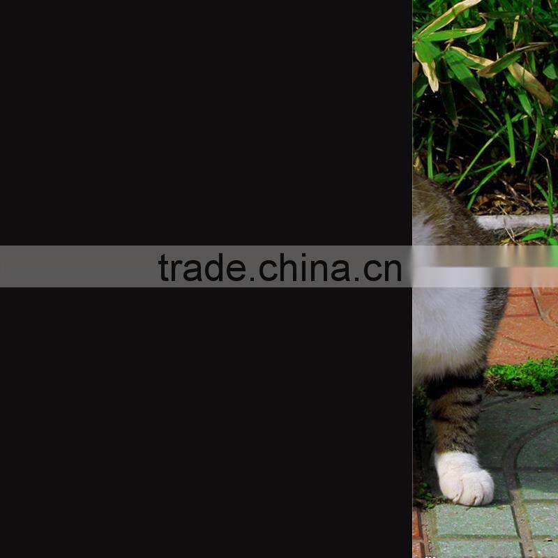 Factory supply hot sale adhesive black static window film