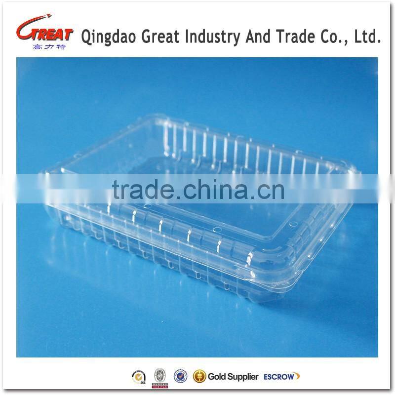 PET food grade Clear disposable Blister Plastic packaging container for blueberry