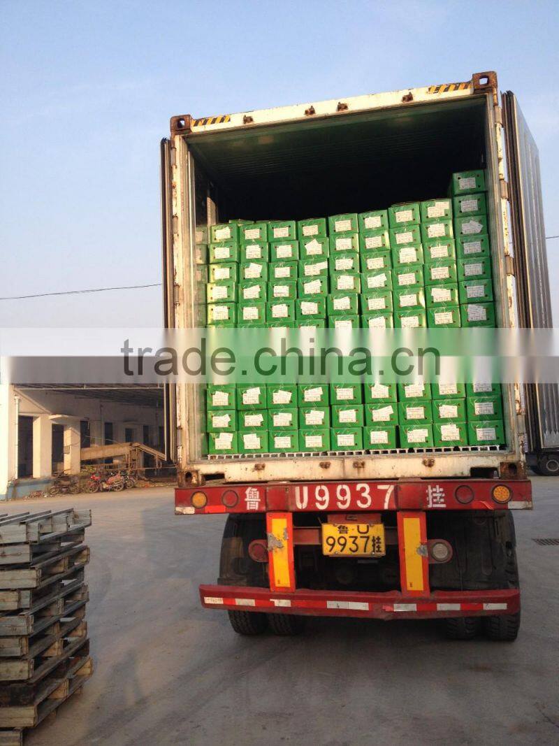 Chines Bulk Fresh Carrots Fresh Carrot Price