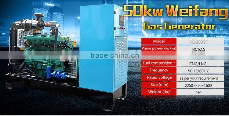 High quality 50kw Liquefied Petrol Gas Generator